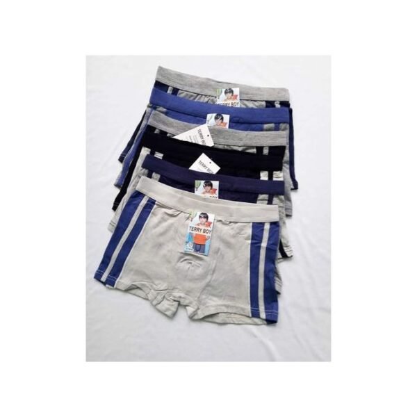 6Pcs Boys Stripped Boxer Briefs Pants Underwear - Multi Colour Multi ...
